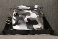 Gassitasche „de Täsch“ Camouflage grau